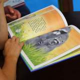 изображение: Фото 80. 2018.09.04 АКВАРЕЛЬные чтения. Объединение детских библиотек Тольятти