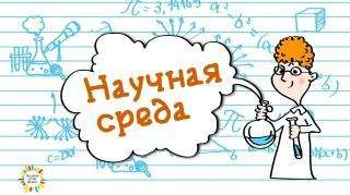Научная среда: спецвыпуск №6 Научная среда: спецвыпуск №6