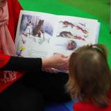 изображение: Фото 51. 2017.12.19 АКВАРЕЛЬные чтения. Объединение детских библиотек Тольятти