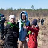 изображение: Фото 29. 2023.04.15 Посадка леса. Объединение детских библиотек Тольятти