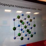 изображение: Фото 26. 2020.11.25 Научная среда. Объединение детских библиотек Тольятти