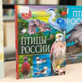 изображение: Фото 28. 2023.09.19 Студия «Искатели». Объединение детских библиотек Тольятти