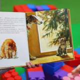 изображение: Фото 18. 2018.01.09 АКВАРЕЛЬные чтения. Объединение детских библиотек Тольятти