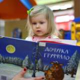 изображение: Фото 8. 2018.01.23 АКВАРЕЛЬные чтения. Объединение детских библиотек Тольятти