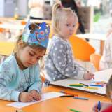 изображение: Фото 84. 2017.11.14 АКВАРЕЛЬные чтения. Объединение детских библиотек Тольятти