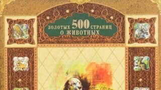 500    